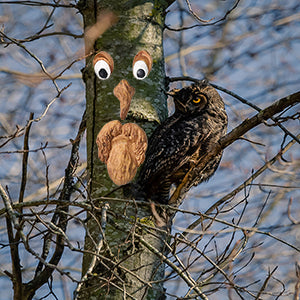 Tree Faces Decor Outdoor